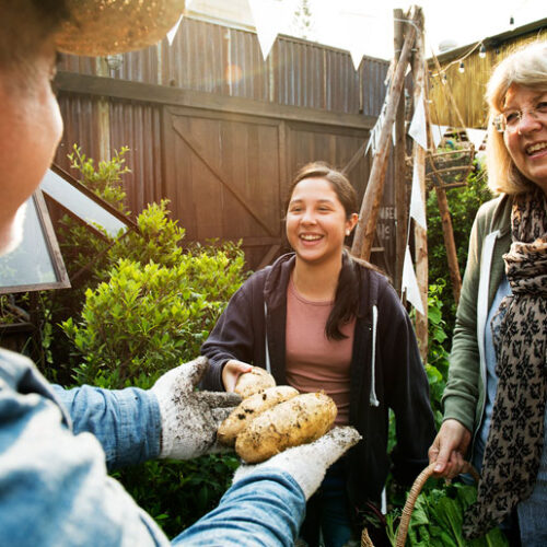 Neighborhood - Cecil County Community Mediation Center - Elkton, MD